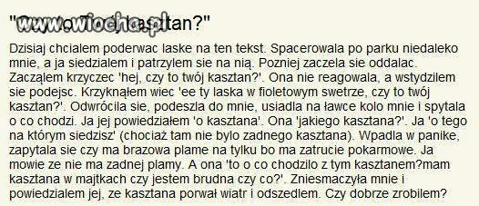 To nie mój kasztan