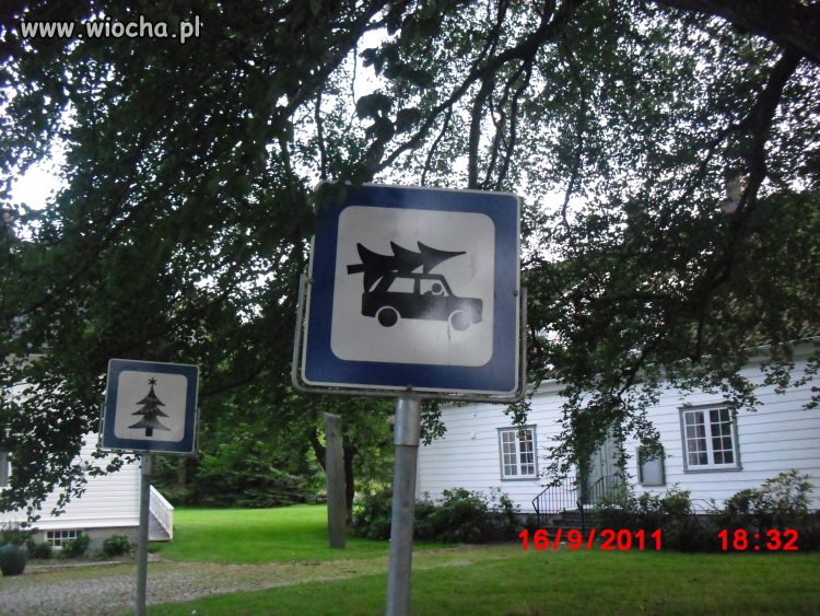 Uwaga na Złodziei choinek 