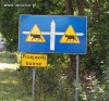 Przejazdy Chyba Krowie 