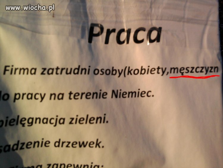 Ortografia się kłania