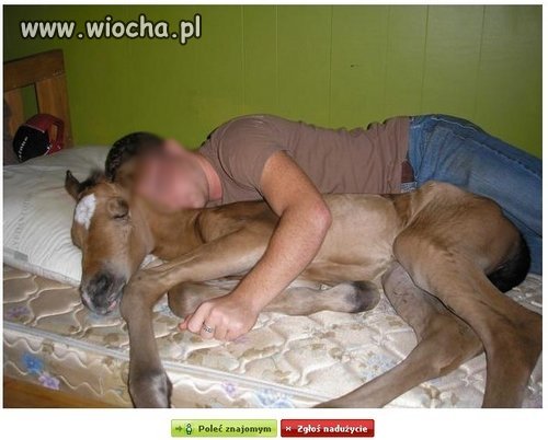 Nigdy nie wiesz