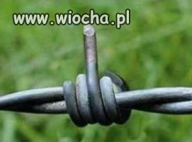 Yyy...