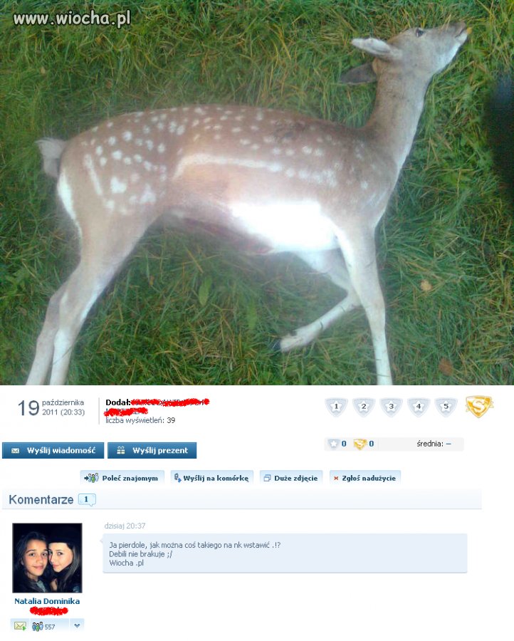 Wtf.?