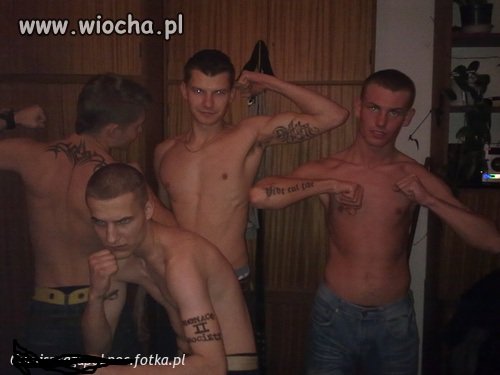 Gangsta, strach się bać