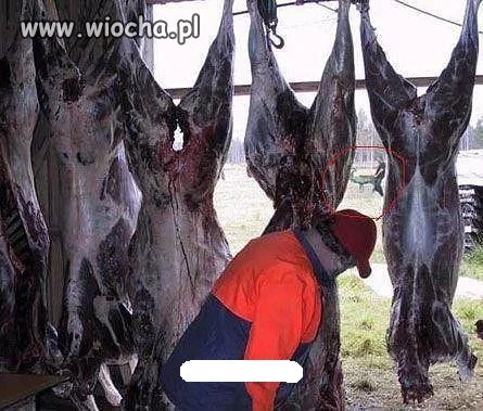Mistrz drugiego, a nawet trzeciego planu