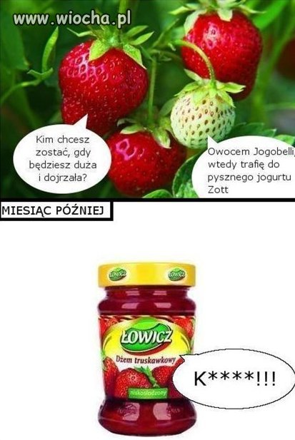 Wiocha to nie jest ale