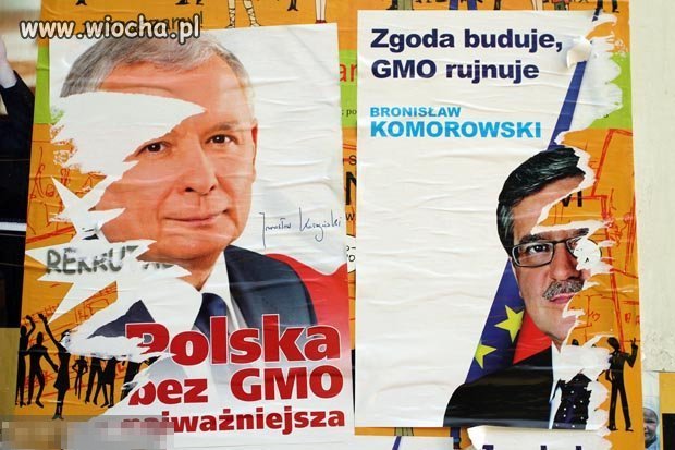 Zaśmiecanie świata