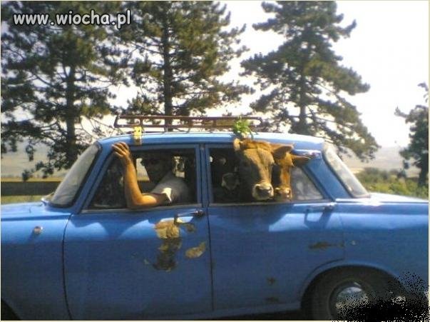 "na wycieczkę"