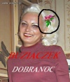 Mistrzyni painta 