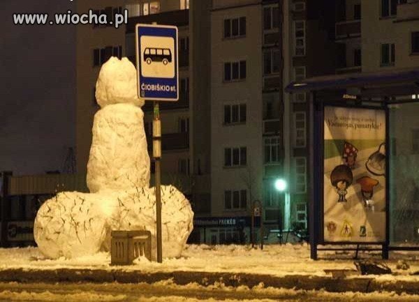 Chujowa 