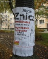 Akcja znicz... kredyt chwilówka???
