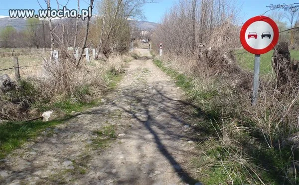 Kto tu kogo może wyprzedzić?