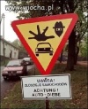 To tylko Polska