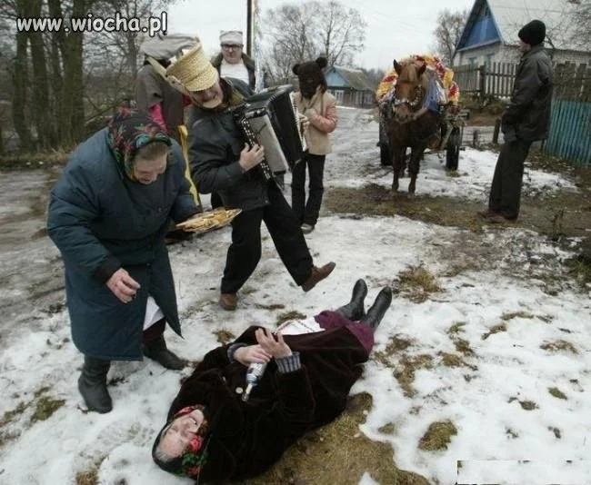 Nic Nic wódka cała !