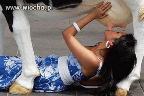 Muuu!!!