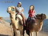 Egyyypt 