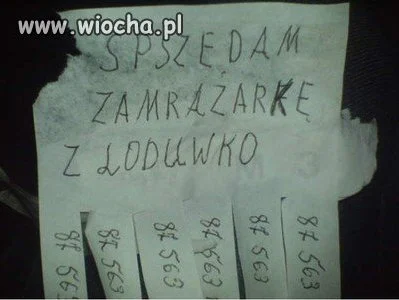 Czy ktoś chętny