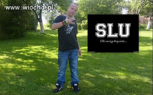 Gangster z SLU