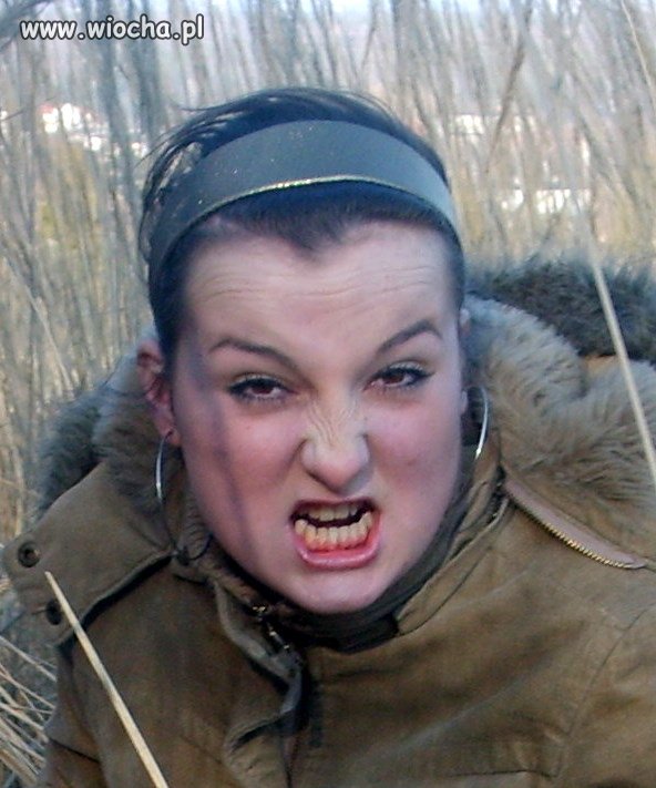 Dawno temu w trawie