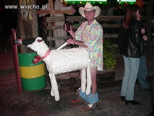 Koleś bardzo kocha swoją owieczkę...