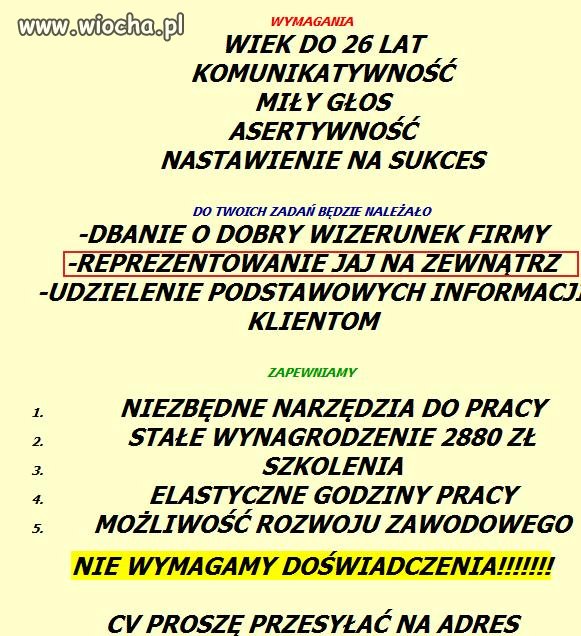 Nie rozumiem już tych ogłoszeń