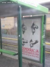 Polityczna myśl...