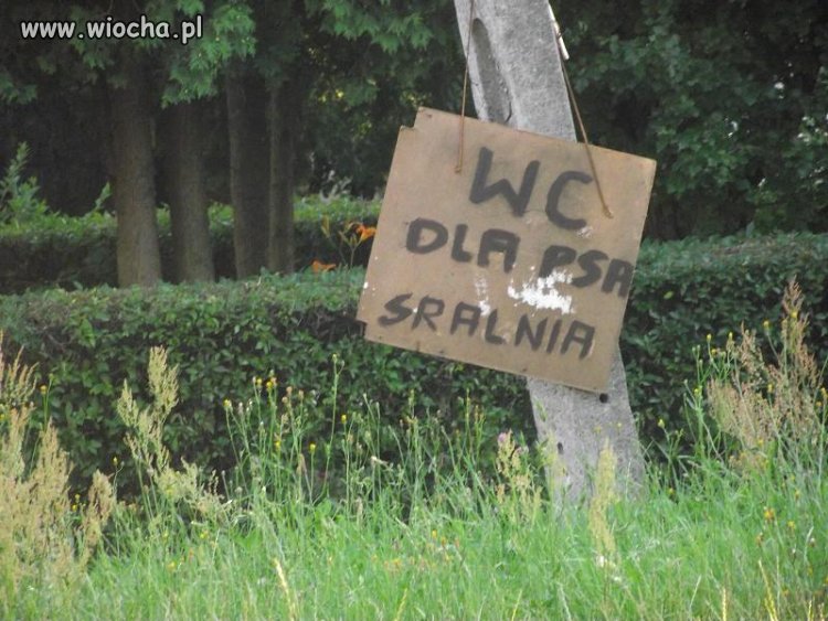 Tabliczka w parku.