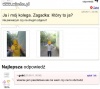 Koledzy