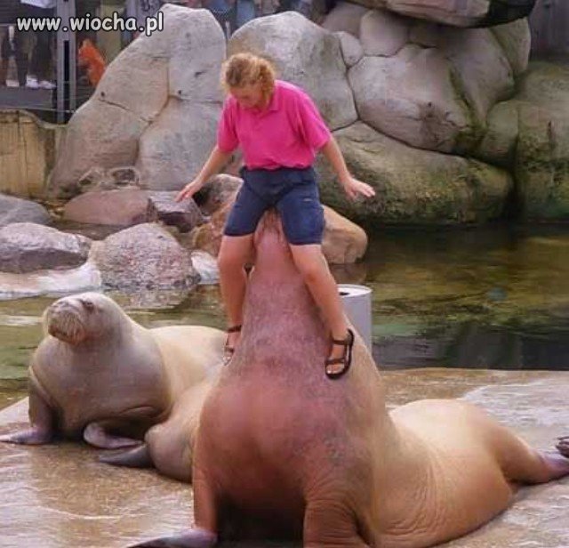 Szczyt odwagi w zoo