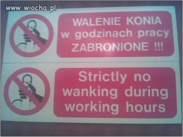 Walenie konia