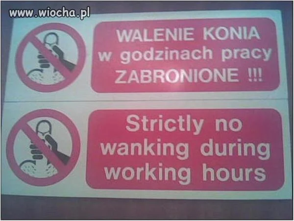 Walenie konia