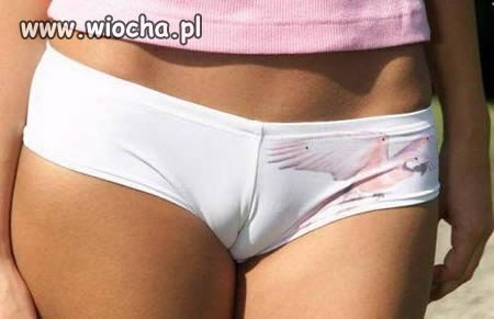 Sexi majteczki