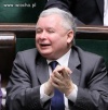 Jedna z wielu