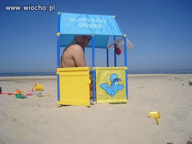 Prawie jak słoneczny patrol..