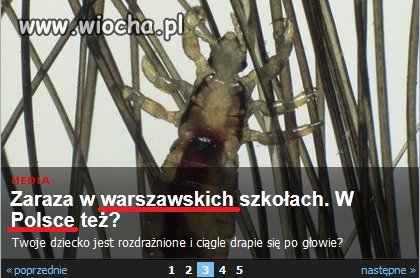Do Waszej oceny. 