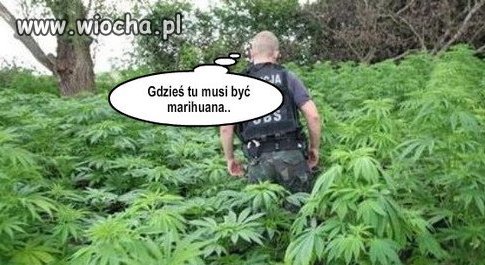 Niekumaty policjant...