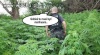 Niekumaty policjant...