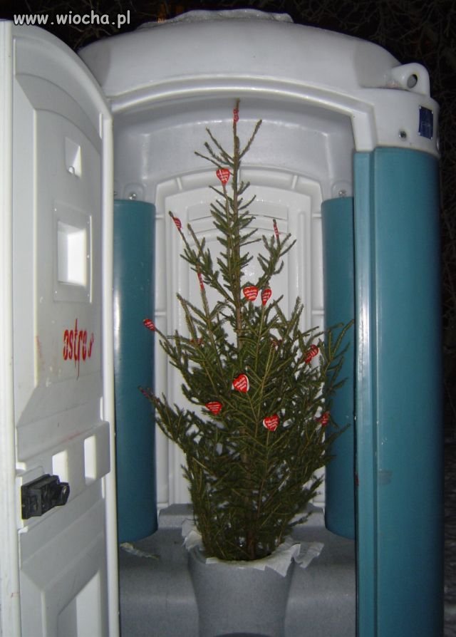 Zajęte