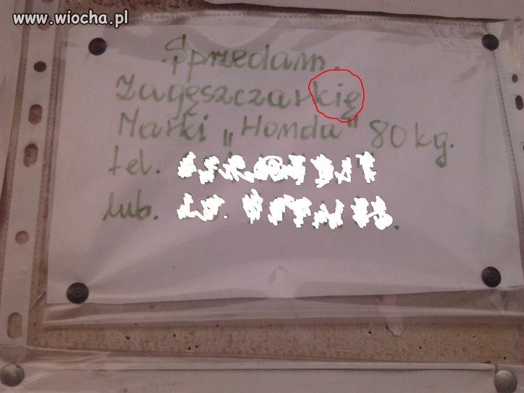Ortografia