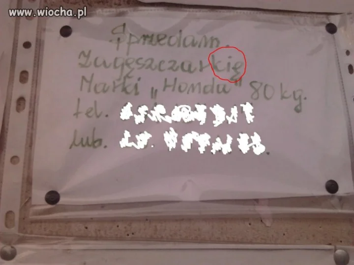 Ortografia