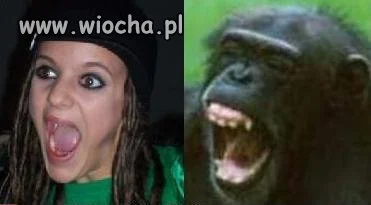 Superowe podobieństwo