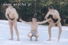 Morsy prężą się i wyglądają jak???