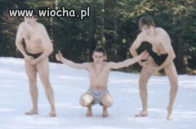 Morsy prężą się i wyglądają jak???