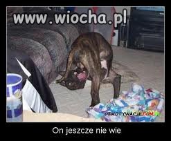 On jeszcze nie wie...