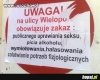 Jakie jeszcze Polak może mieć pomysły?