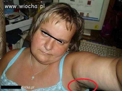 Słit focia