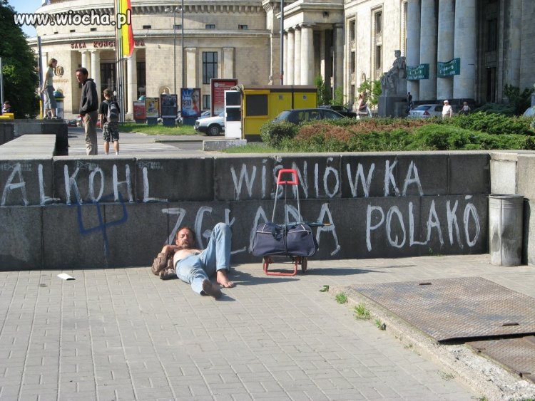 Wiśniówka zagładą