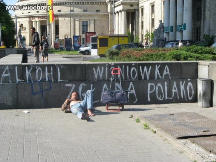 Wiśniówka zagładą