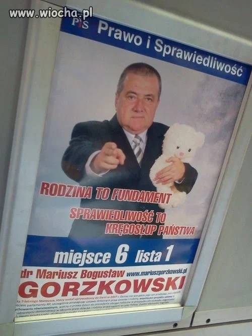 Z misiem