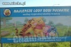 Najlepsze lody robi puchatek